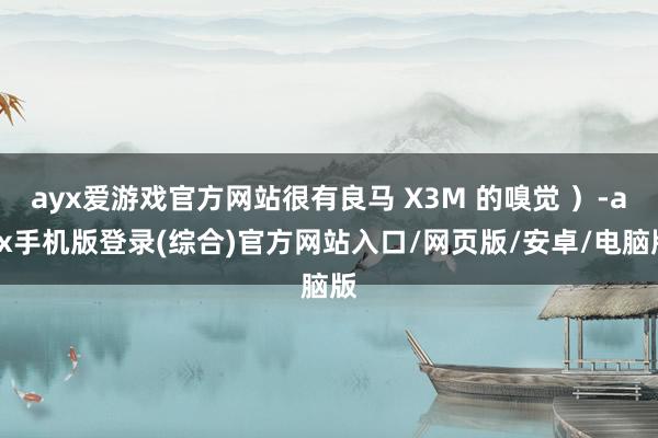 ayx爱游戏官方网站很有良马 X3M 的嗅觉 ）-ayx手机版登录(综合)官方网站入口/网页版/安卓/电脑版